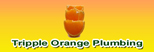 Free Quote - Tripple Orange Plumbing